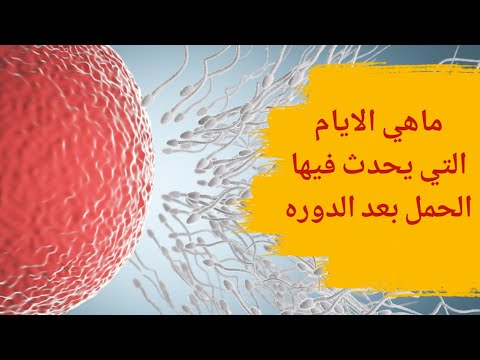 ماهي الأيام التي يحدث فيها الحمل بعد الدورة الشهرية