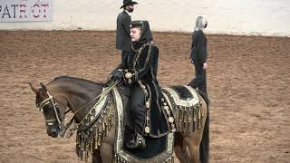 Scottsdale Arabian Horse Show 2021 Native costume