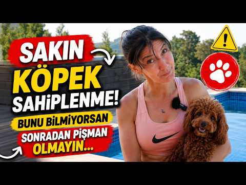 Köpek sahiplenmeden önce izlenmesi gereken video