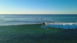 Supping Cylinder . Surfers sharks & mullet