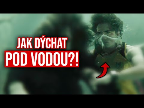 Video: Jak dýchá želva pod vodou