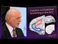 The Neuroanatomy of ADHD and thus how to treat ADHD - CADDAC - Dr Russel Barkley part 2a