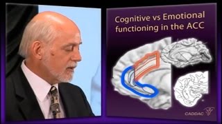 The Neuroanatomy of ADHD and thus how to treat ADHD - CADDAC - Dr Russel Barkley part 2a