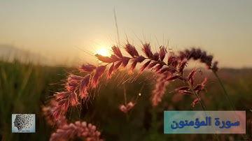 سورة المؤمنون بصوت سعد الغامدي -023- surat alMu'minun - bisawt Saad AlGhamdi
