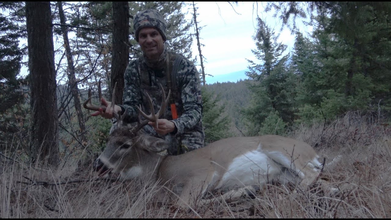 Jason's 6x6 archery Okanagan buck 2019 YouTube