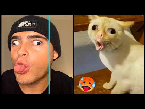 Мега приколы до слёз🔥🔥 Funny Epic fails memes 🔥🔥 Top #3