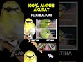 Prediksi Harga Burung Pleci 2025: Tren, Faktor, dan Tips Pembelian