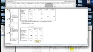 spss project example