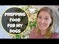 EASY HOMEMADE DOG FOOD