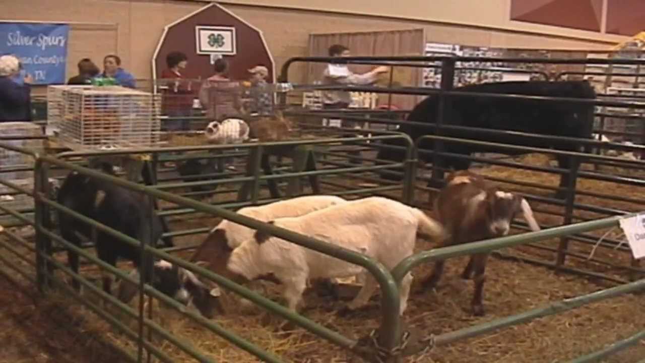 Kingsport Times News 2012 Farm Expo YouTube