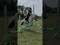 I Love My BabyÔÖÑ ÅÔÖÑ Å Horse Equestrian I Love My BabyÔÖÑ ÅÔÖÑ Å Horse Equestrian