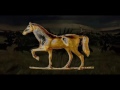 The Golden horses of Batu Khan.Золотые кони Хана Батыя. Миф или правда ?