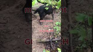 Famous #meenzerlabs #emmalab #linelab Wealth