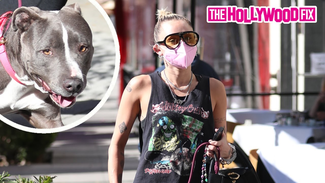 Miley Cyrus & Her Rescue Dog 'Angel' The Pit Bull Run Errands Together In Beverly Hills 2.22.21