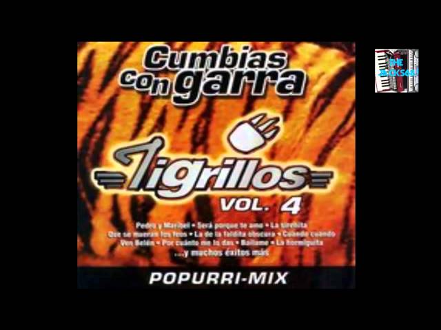 Los Tigrillos - Tus pompis