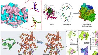 Molecular Docking Program (Part-2)