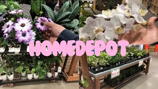 HomeDepot  Plants