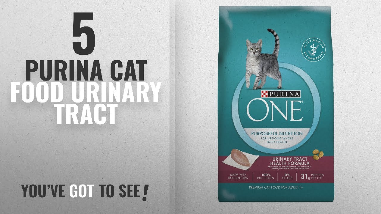 purina pro plan puppy Top 5 Purina Cat Food Urinary Tract [2018 Best Sellers]: Purina ONE Urinary Tract Health Formula Dry