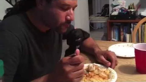 Meatball night with a small dog