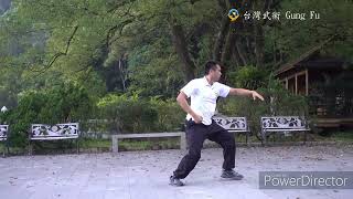 Golden Eagle Gungfu- Form 1-2 金鷹拳:一蹀尾 台灣武術 Gung Fu