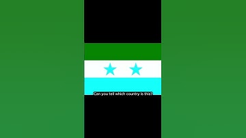 Can You Recognize These Inverted Flags? 🌍