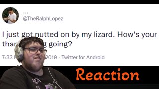 Zack Reacts | Thanksgiving Disaster Stories