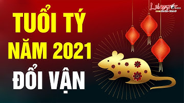 Tử Vi Tuổi Tý Năm 2021 Tân Sửu Đổi Vận Giàu Sang Mắn Mắn Khó Ai Sánh Bằng - Tử vi 12 con giáp