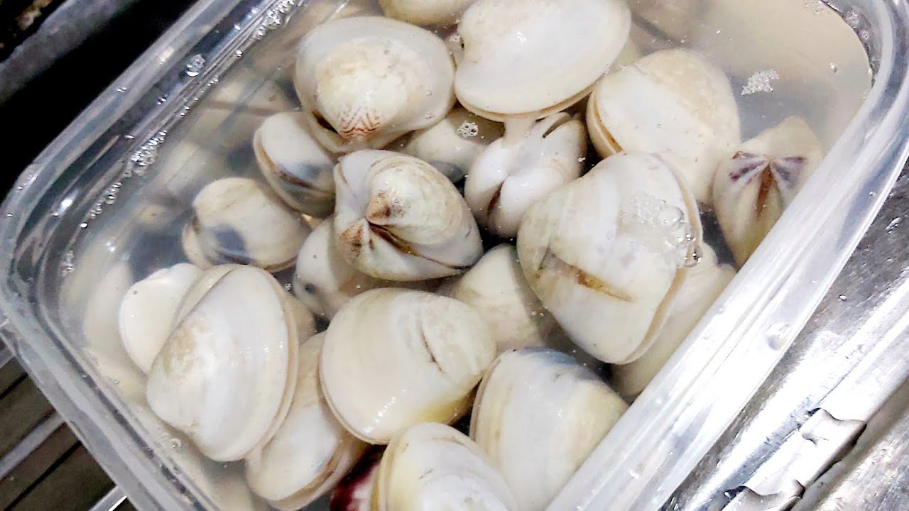 Quick & Easy Tinolang Halaan Recipe Pinoy Recipe (Clam soup) Vlog