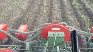 Setva kukuruza u Strip-Till-u