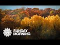 Nature: Fall foliage in Minnesota