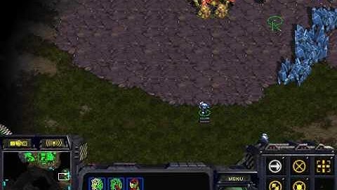 Starcraft Brood war Map Python 1.3 Terran vs Zerg (16.09.22)