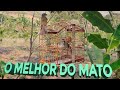 LEVEI o MELHOR no MATO!! Trinca Ferro DEMOLIDOR na TEMPORADA!