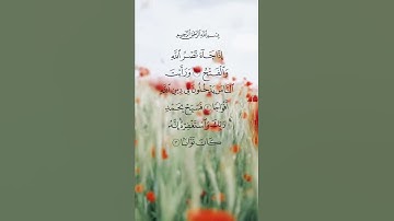 إذا جاء نصر الله والفتح ⚘💛🕋 حالات واتس اب قرآن كريم بصوت جميل جدا 🥀