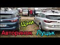 Які авто можна придбати  на авторинку  Луцька?Огляд30/10/2023.Бюджет$.