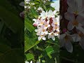 Який все таки гарний світ #nice#sweet#beautiful#flowers#world#travel