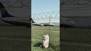 taxiing Ryanair