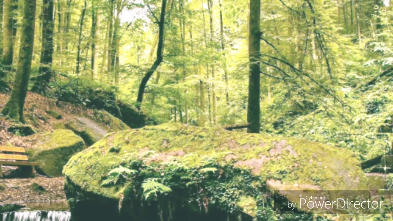 July Astro Meditation with Shar💜