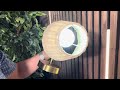 Wall Sconces Set