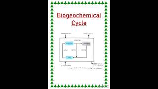 Biogeochemical cycle