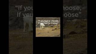 I’ve seen a lot of these credit all save the polar bears❤️💗 #globalnews  #politics #polarbear Net Worth