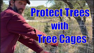 DIY Deer Cages  Protect Your Trees From Marauding Deer!