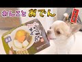 初めておでんを食べた犬の反応がコチラ