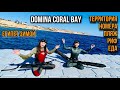 Domina Coral Bay 5* 2021,стоит ли ехать в Египет зимой