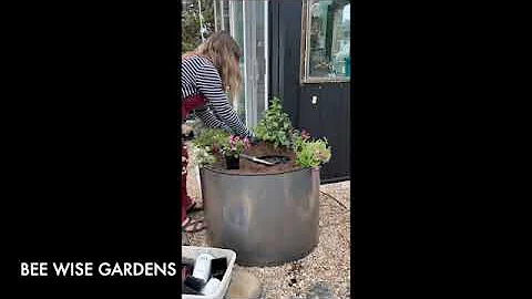 Epic Gardening's Birdies Container with Water Feature