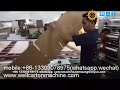 High Speed Corrugated  Box printing machine