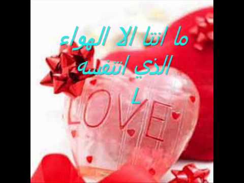 اللى بيحلم هاني شاكر