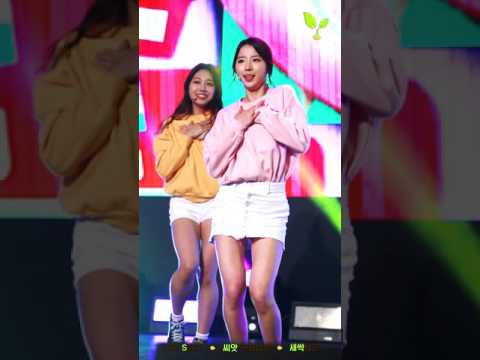 161105 'Bloom the SEEART' 2주차 아이스크림 세은 직캠 by새싹세은