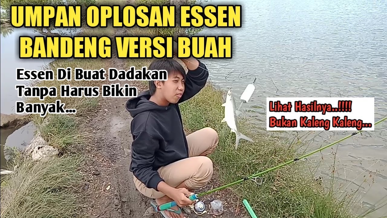 Oplosan essen buat ikan bandeng versi buah....!!! lihat hasilnya BUKAN KALENG - KALENG