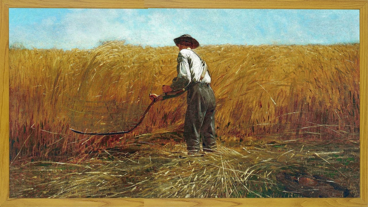 Frame Tv Art | Colorful Flowers Frame TV Screensaver | 4K Art | No Music