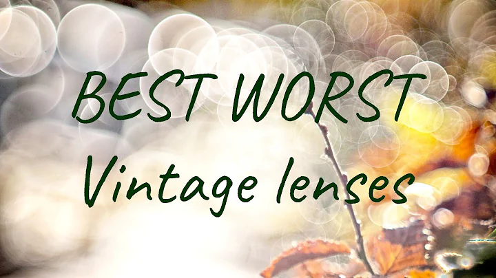 BEST WORST vintage lenses.  My Top 5 picks!  What are yours?